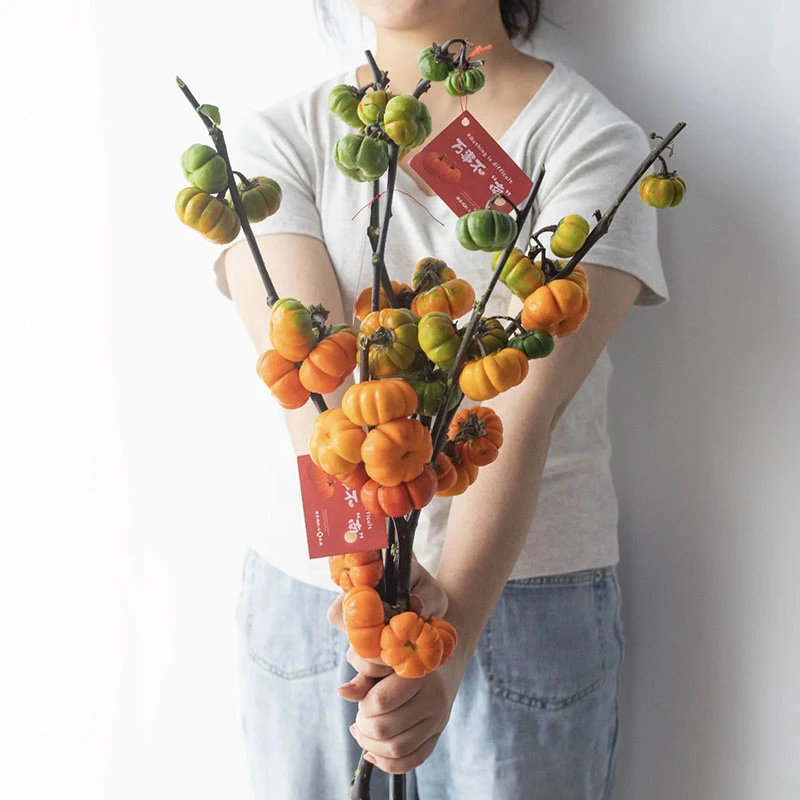 小南瓜鲜花观赏插花花束水培干花切枝花卉室内好养秋冬绿植物装饰