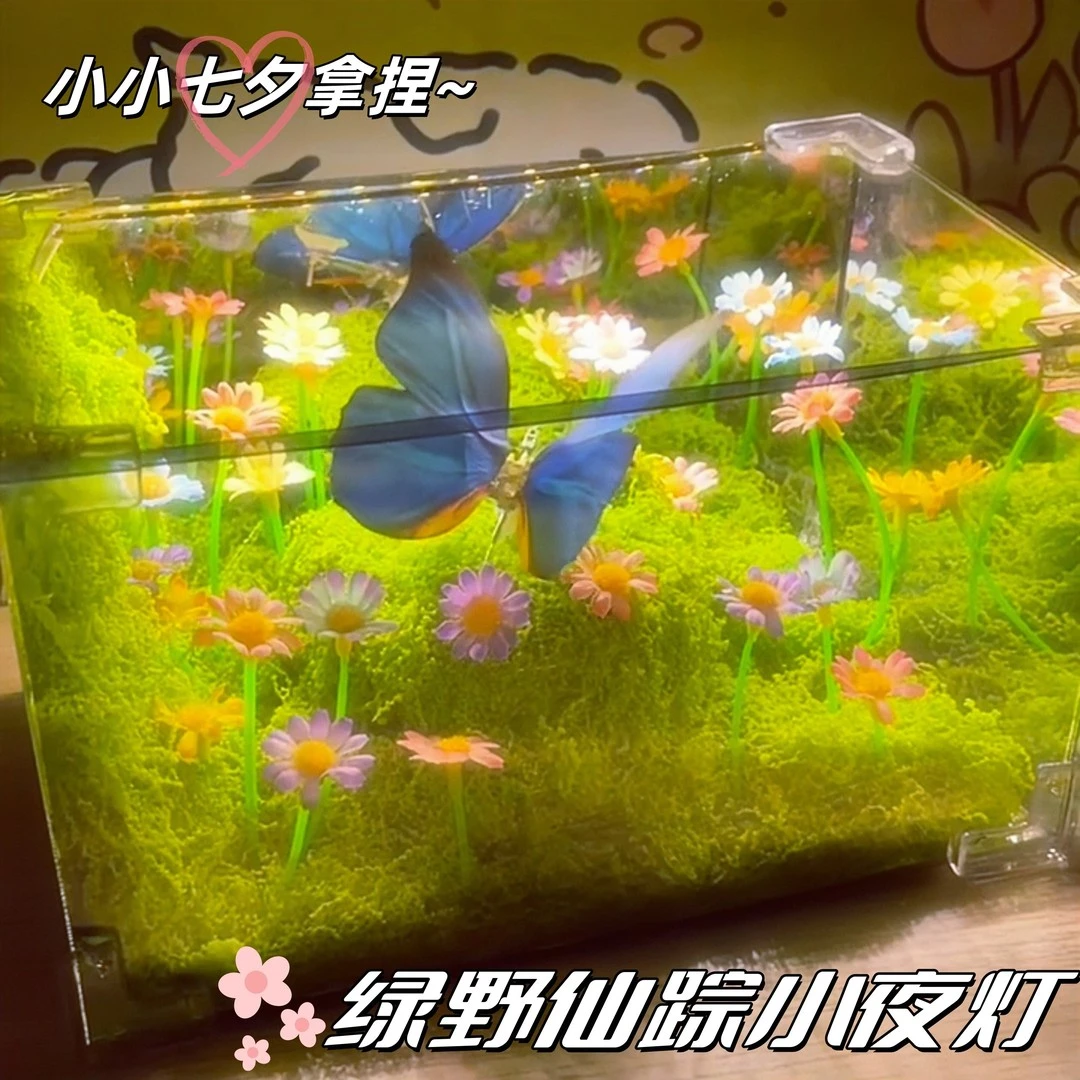 【七夕礼物】绿野仙踪蝴蝶长方形小夜灯diy材料包创意礼物女朋友