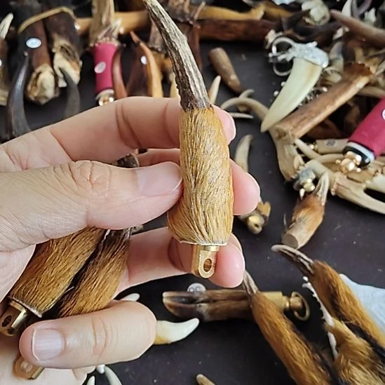鸿乐堂直播间选货