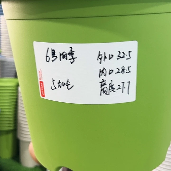 特价6号四季口32高28果绿色7个无托