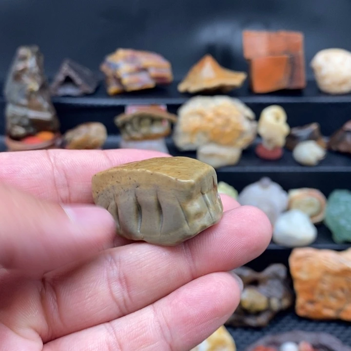 石材阿拉善戈壁石牙石