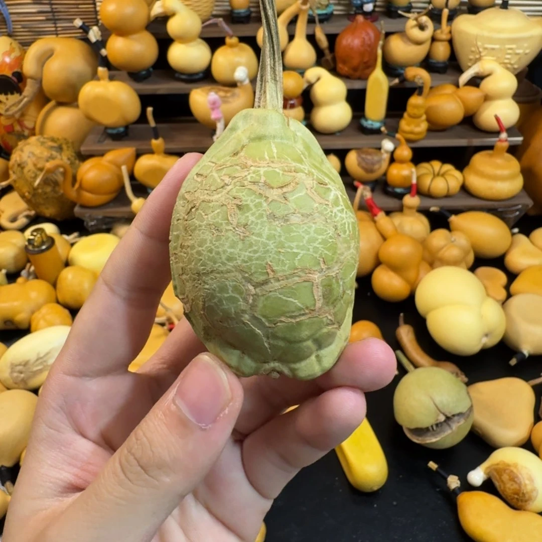 岛****22222222222222222222222