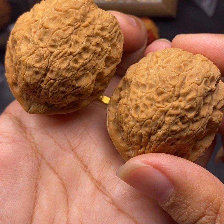 文玩核桃把件45尺蟾祖73.3克