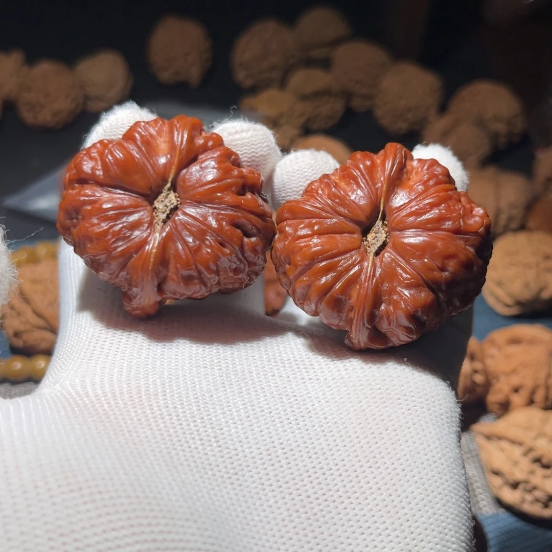 核桃45全品南瓜墩五年