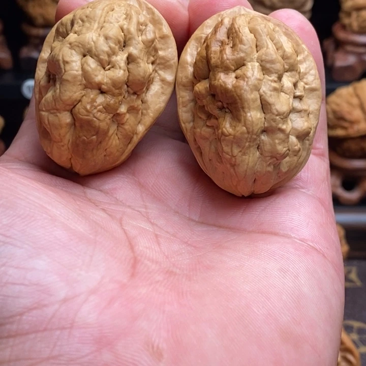 把件文玩核桃臻龙疙瘩包