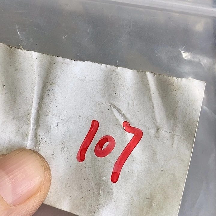 爱****吊坠龙脊菩提喜乐购专项链接