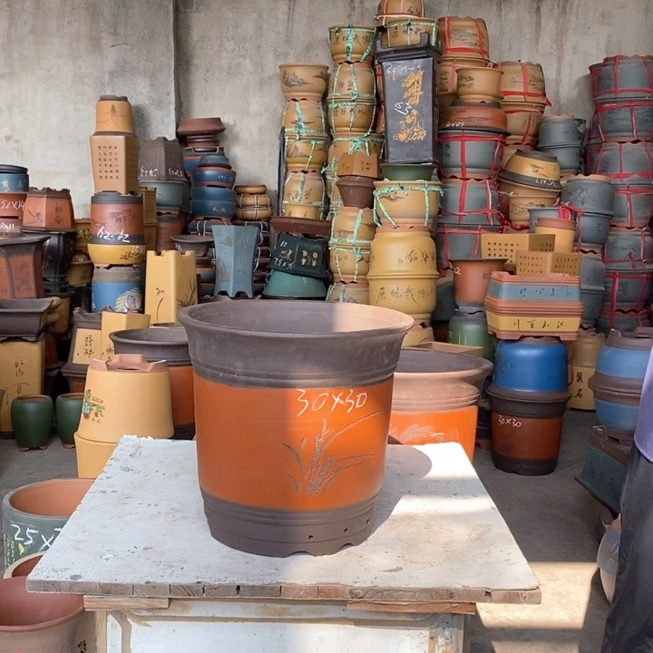 紫砂花盆盆栽花卉苗木种植