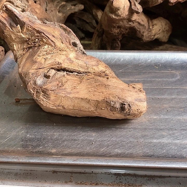 花梨木类大*海南花l
