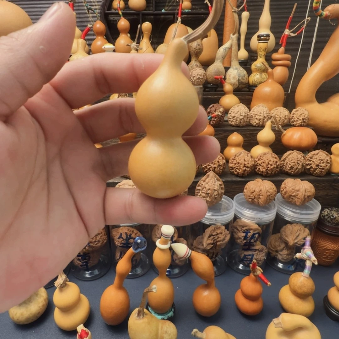 浮**粟天津嘴葫芦一物一图