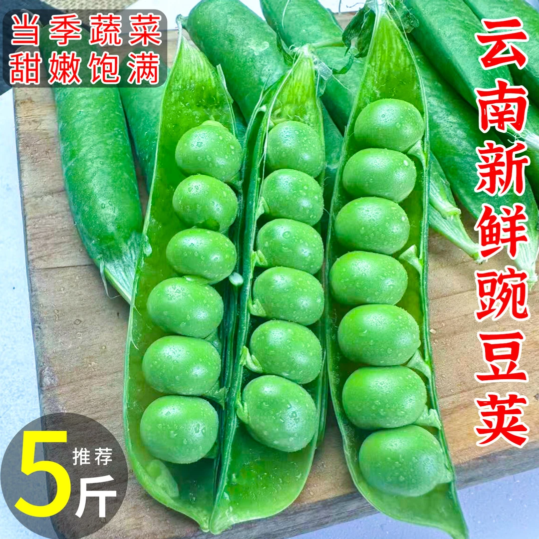 初柠柔云南高山露天种植新鲜带壳甜豌豆现摘现发当季蔬菜