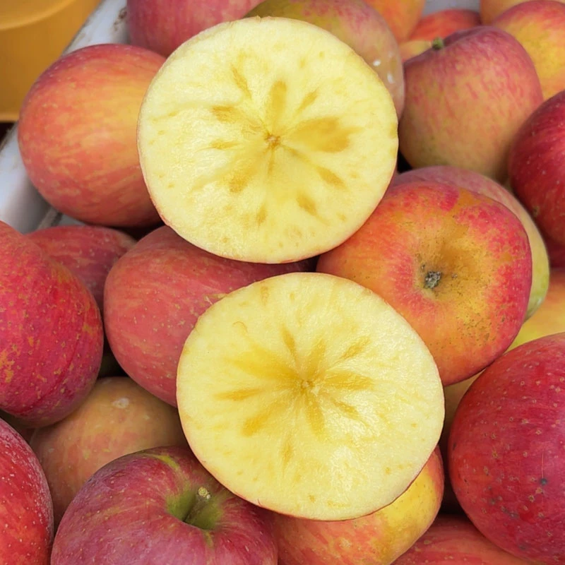 顺丰四川高山丑苹果冰糖心苹果当季红富士脆甜多汁新鲜水果5/9斤