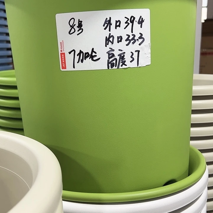 特价8号口39高37白色5只带托