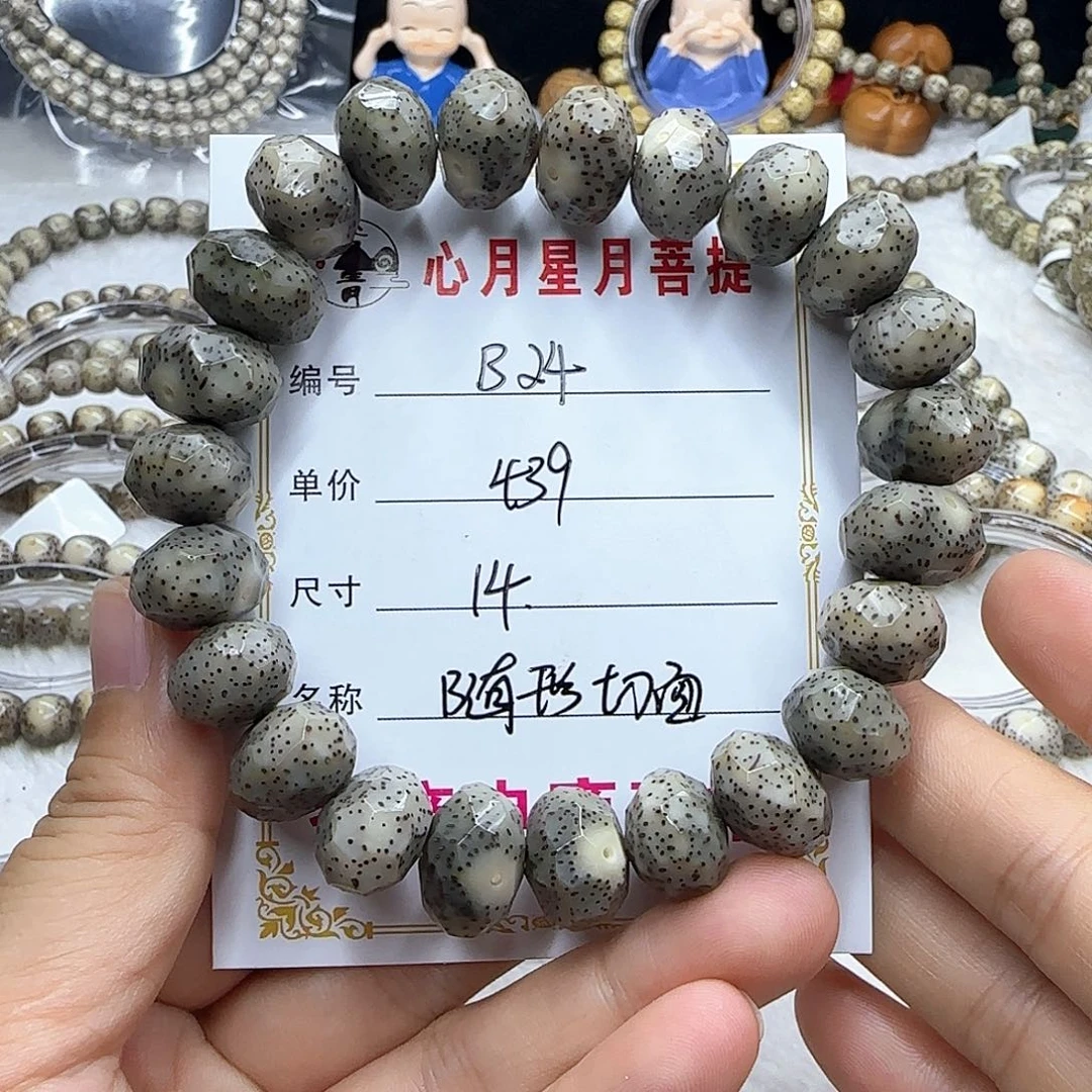 心月星月菩提一号B24