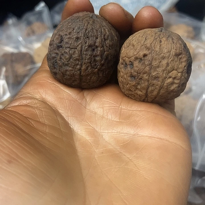 把件文玩核桃云南铁核桃基地15