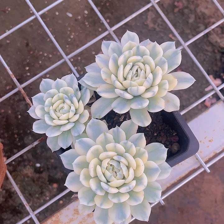 这几句真的好好哭一次