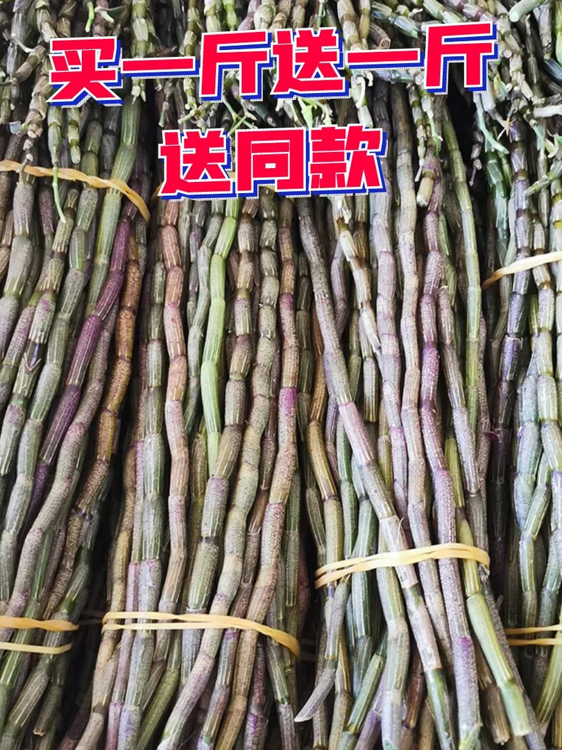 云南高山高海拔仿野生种植铁皮石斛鲜条  榨汁  煲汤  泡水  泡酒