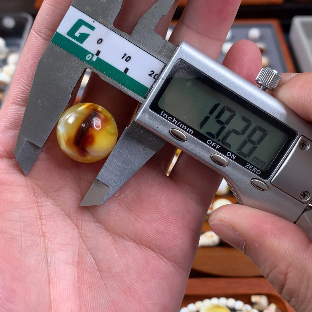 未镶嵌琥珀珠宝奇石