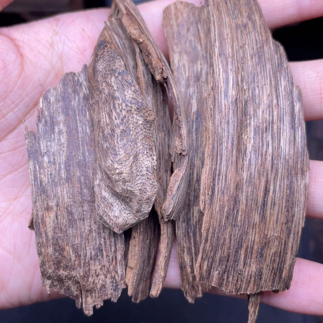 香榧木海南尖峰岭碎料12克