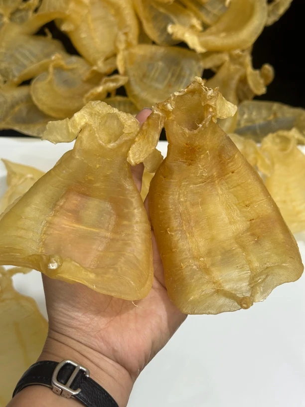 广东卿卿滋补，肉质漂亮金兰赤觜公胶，1-500g