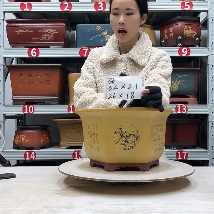 紫砂花盆紫砂花盆
