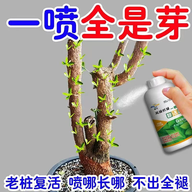 【新芽猛长】老桩催芽剂促芽僵苗快速发新芽防葱干尖花生膨壮粒粒饱