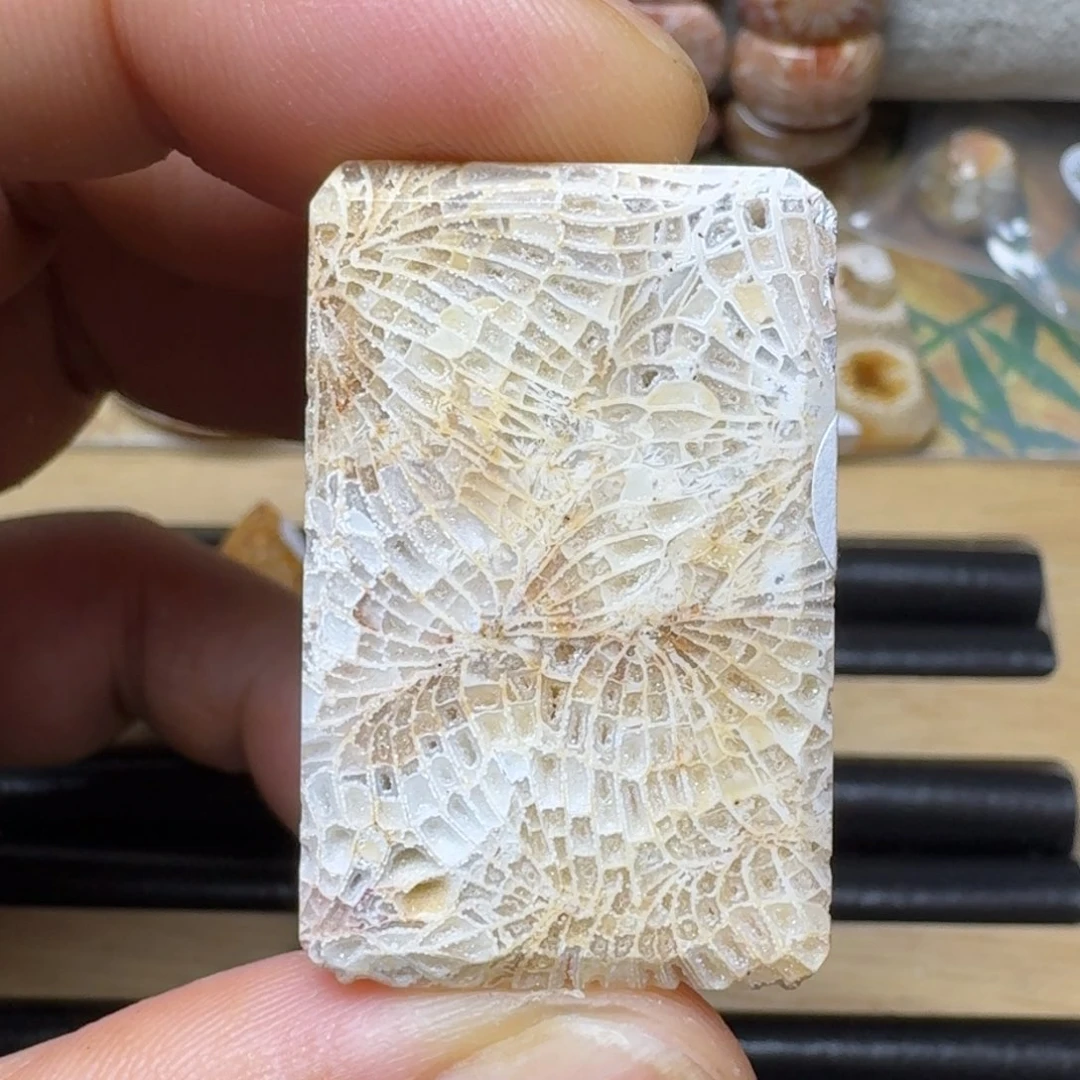 硅化玉纯天然色有机玉石保真色未镶嵌