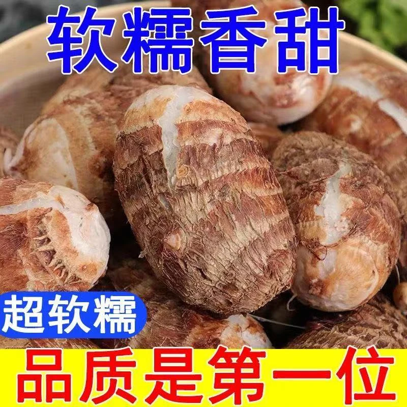 山东牛奶小芋头新鲜芋头现挖毛芋头软糯粉香芋仔芋艿蔬菜批发包邮