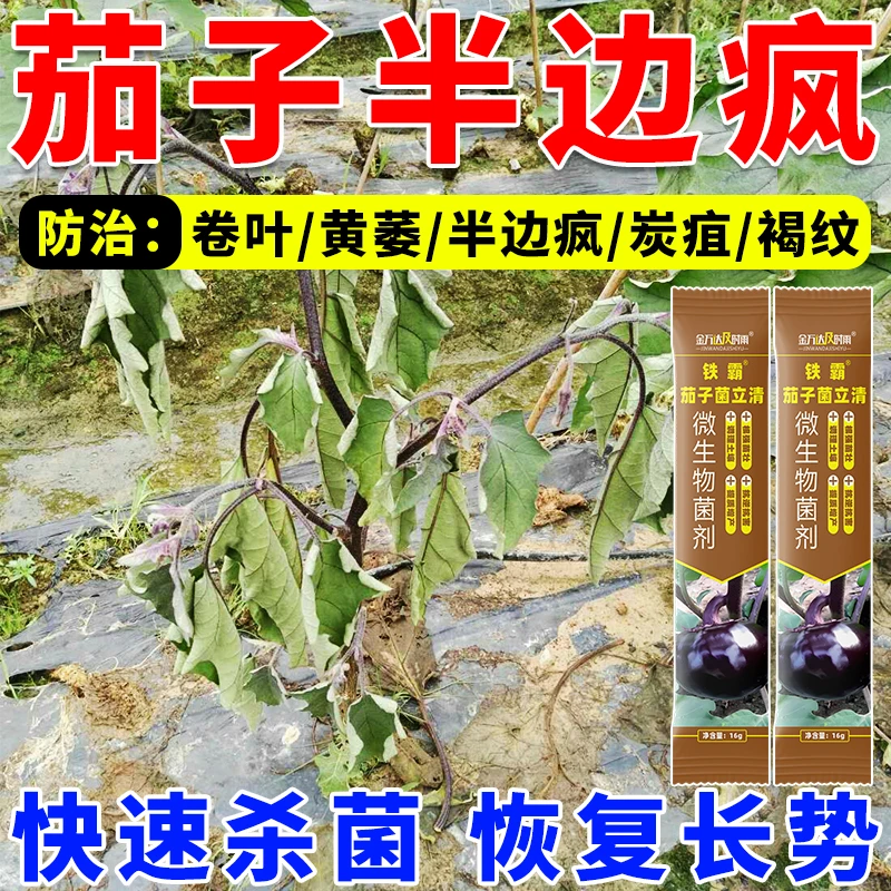 茄子专用药茄子病全治杀菌剂灰霉病炭疽病菌核病疫病枯萎病专用药