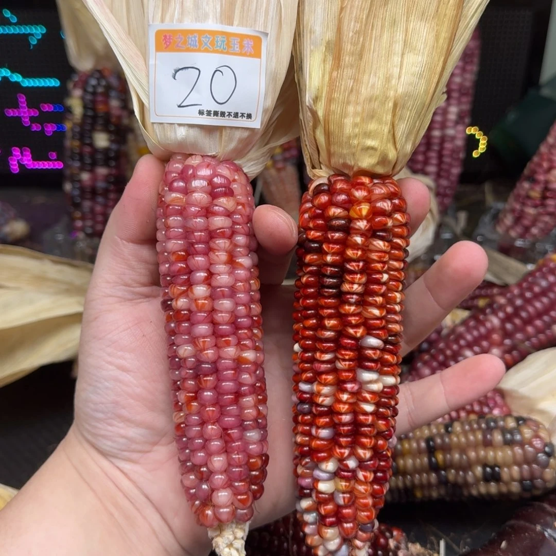 柏香籽/百香籽吊坠羽***°