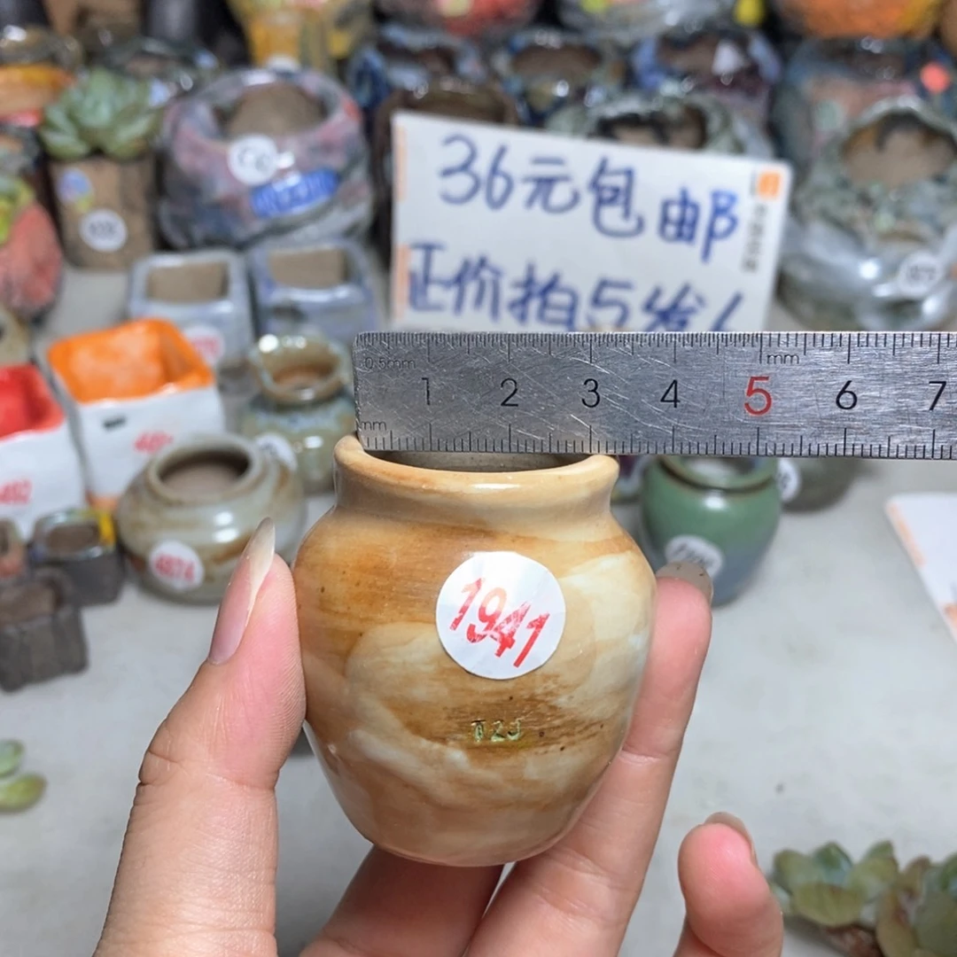 拍5送一个小礼物