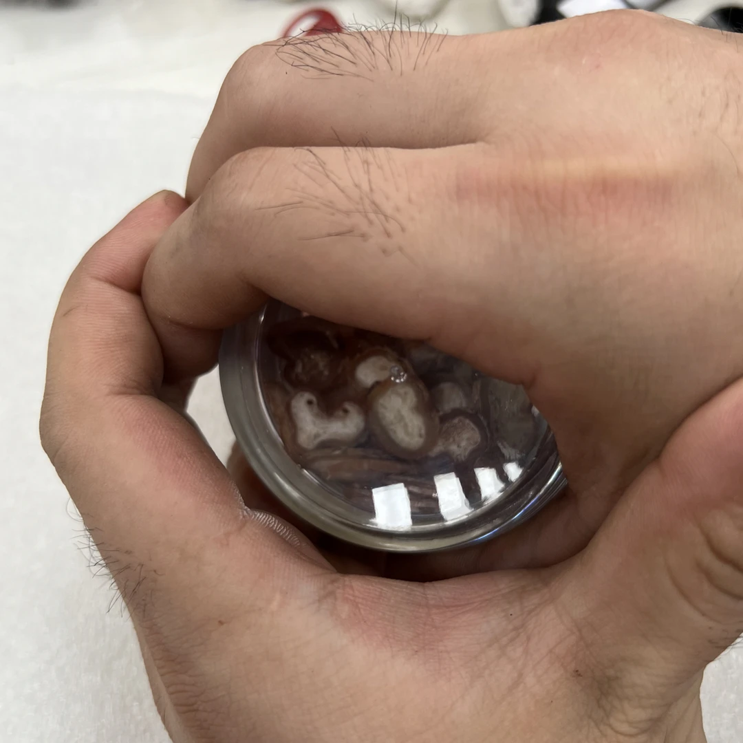 512号特色工艺品花梨木手把件