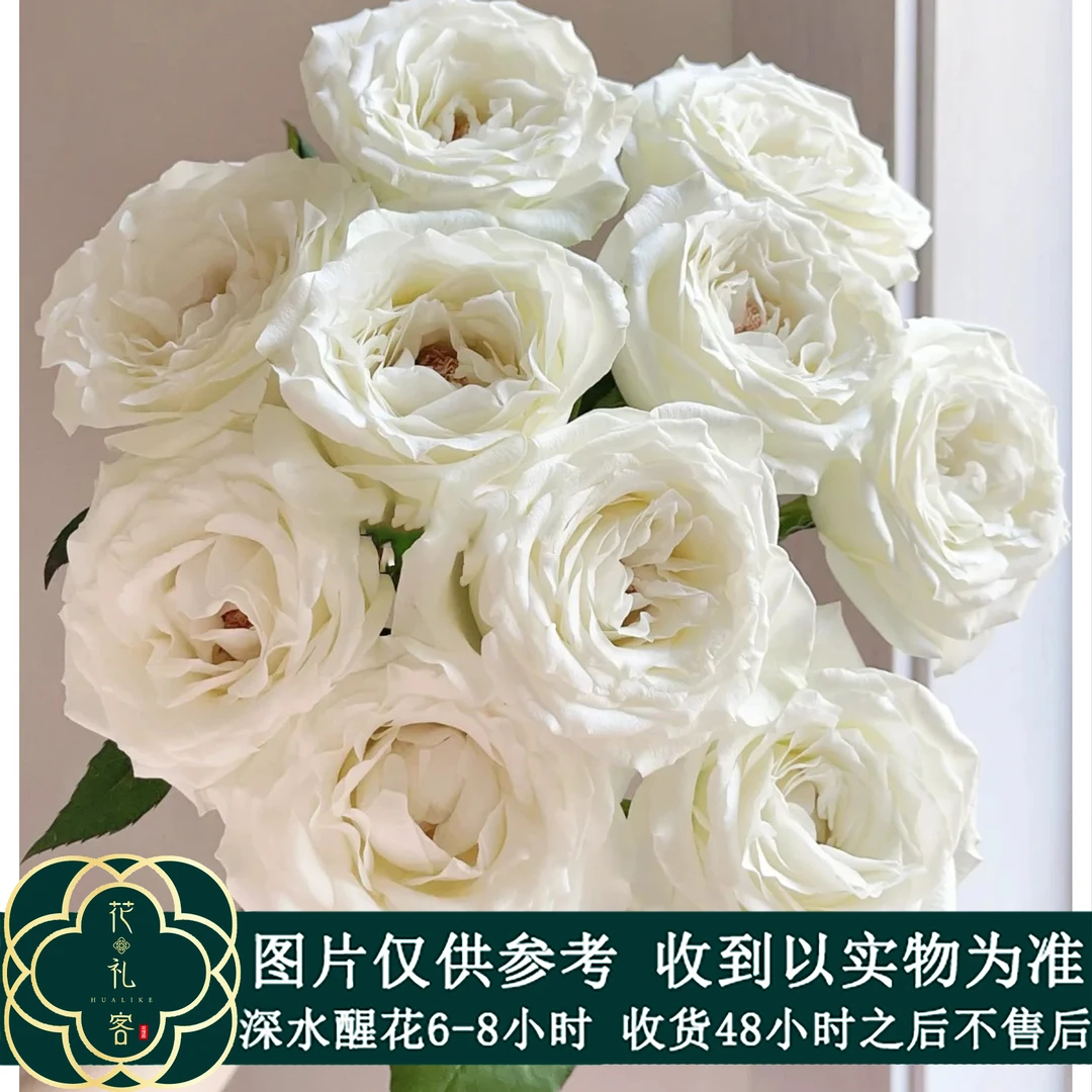 #【冰雪荣耀】稀有小众鲜切花云南基地直采顺丰直发玫瑰花