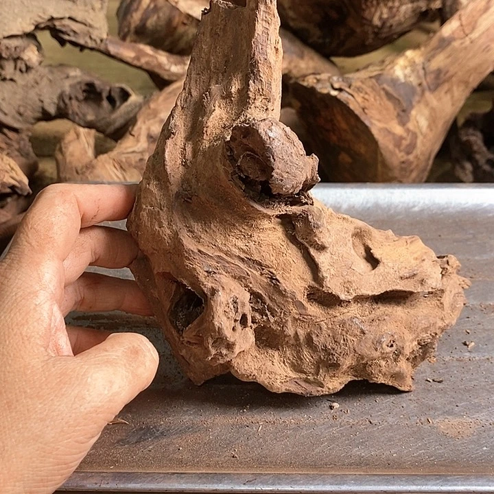 花梨木类用****9海南花梨