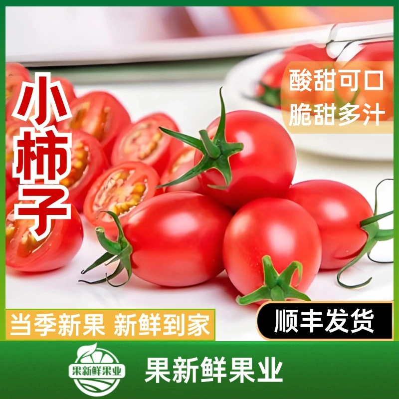 【千禧小柿子】（约2.3斤毛重）酸甜可口脆甜多汁新鲜应季顺丰包邮送货上门千禧圣女果广东省广东省茂名市