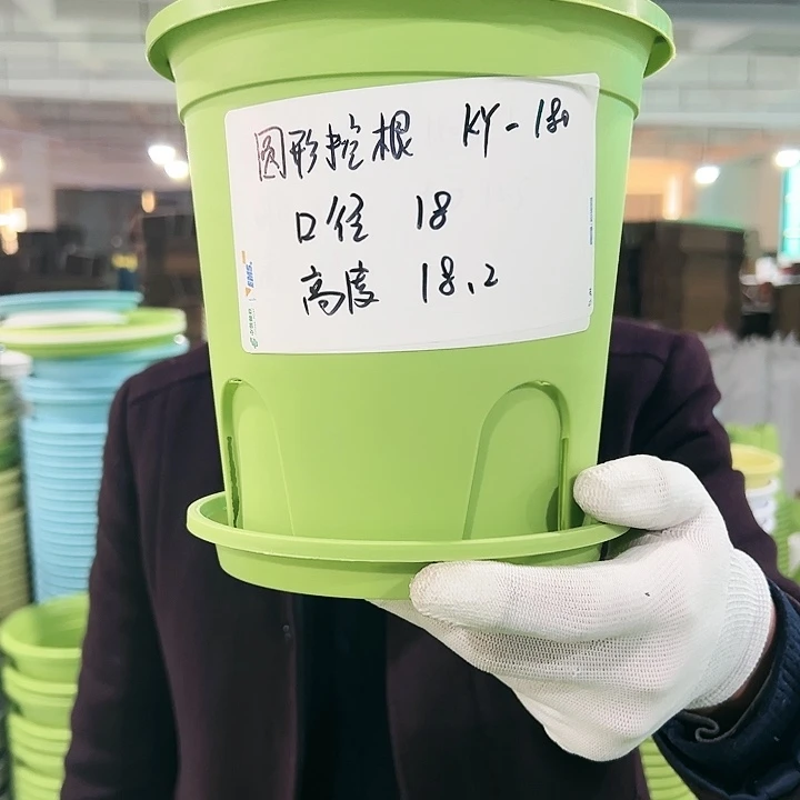 正品圆控口18高18白色8只带托