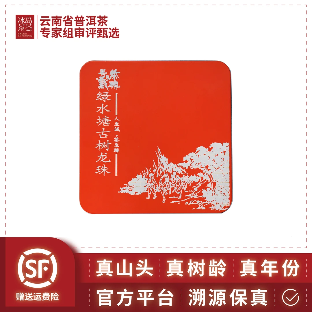 阳溢/绿水塘古树龙珠（头春陈韵，5年沉淀）2020-64克/盒8g*8颗-生