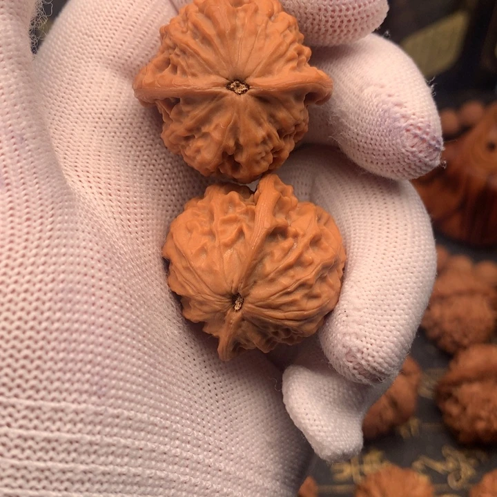 我*哥秦岭山下为金字门内