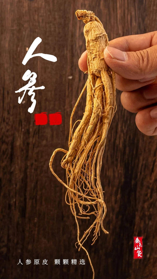 秦岭深山自寻人参自然生长