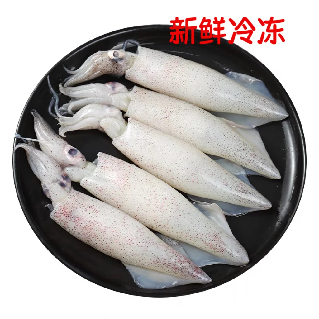 原浆大公海兔 笔管鱼（一斤10条左右）