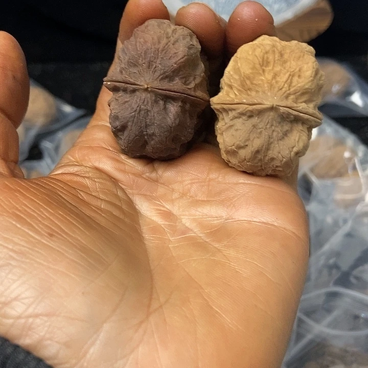 把件文玩核桃云南铁核桃基地95