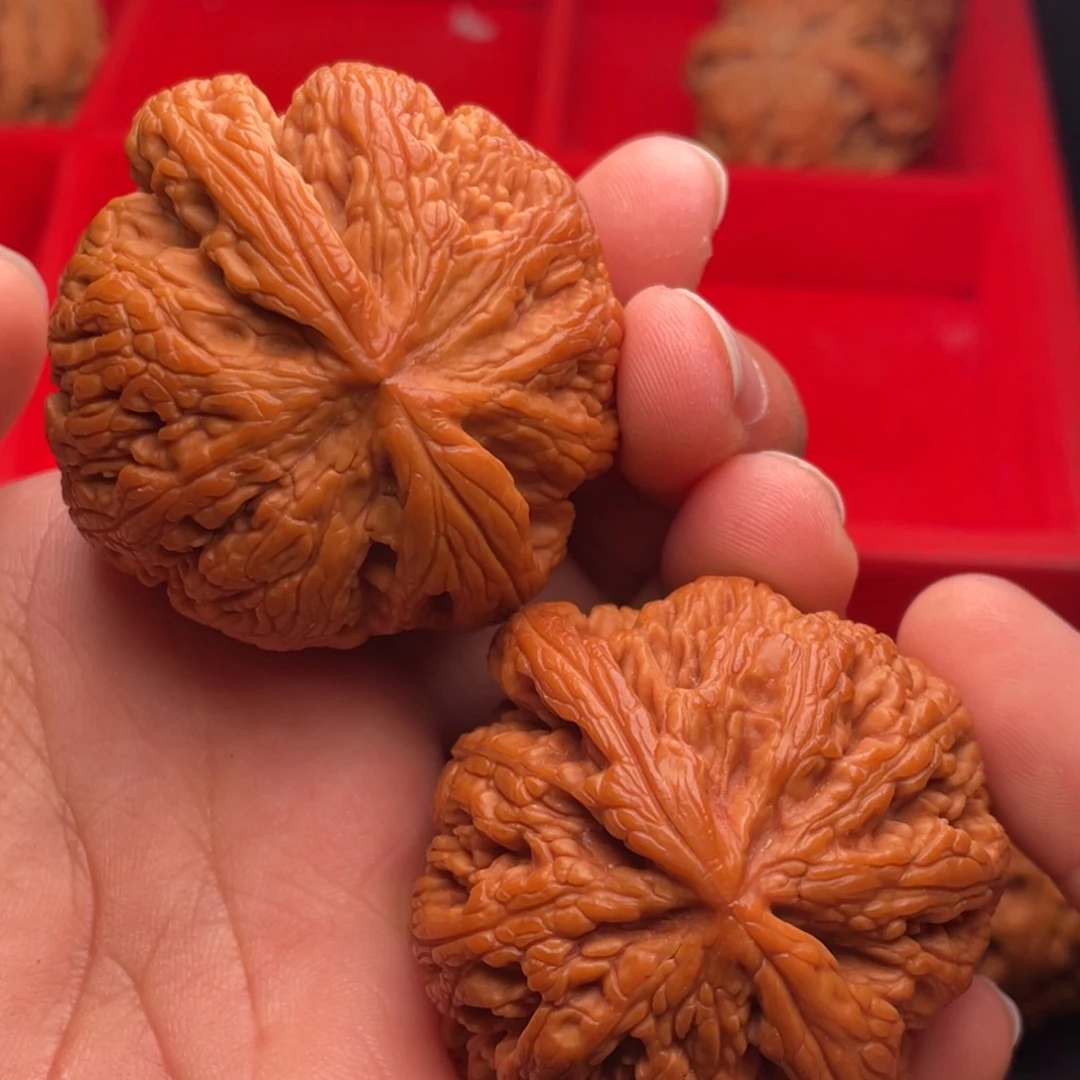 文玩核桃把件秦岭山脉核桃