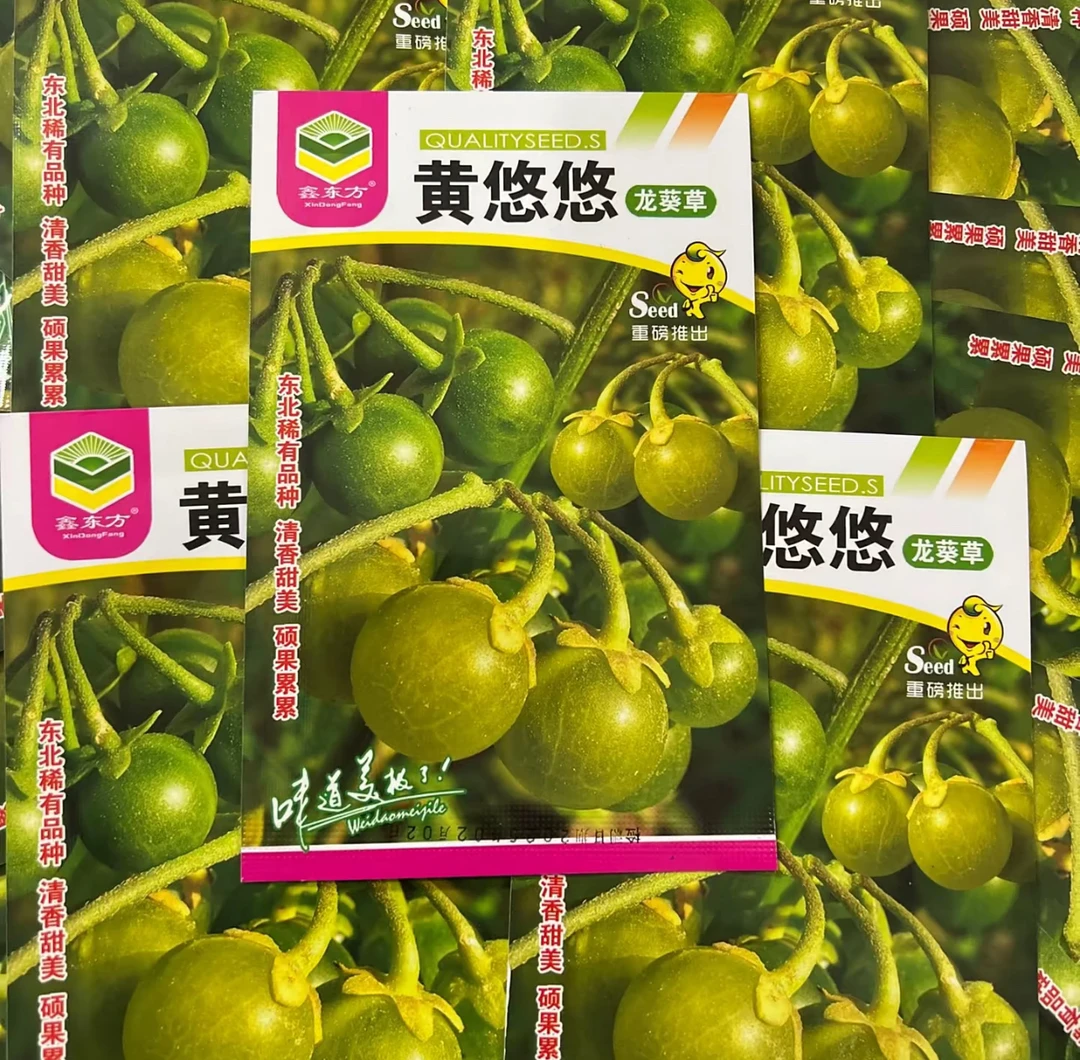 黄悠悠（黄星星种子）90粒左右