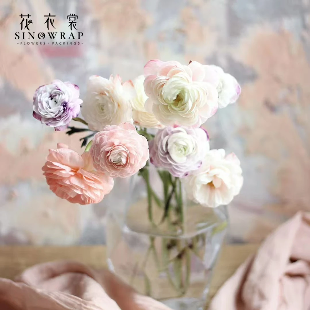 280ml鲜花吸色剂 网红郁金香染色剂康乃馨玫瑰切花染料布朗尼颜料