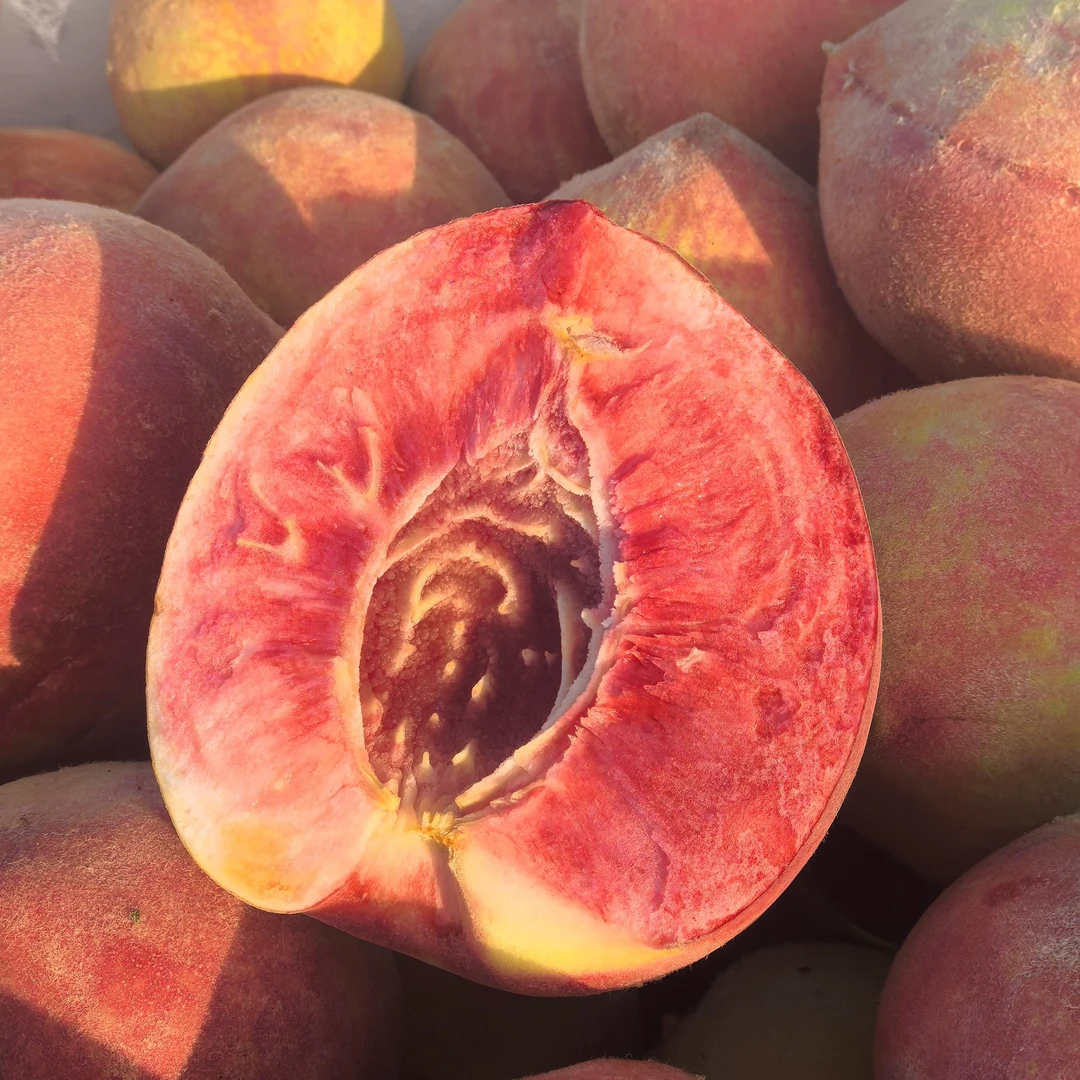 正宗老树血桃血丝桃胭脂红桃子新鲜现摘时令当季水果包邮非水蜜桃