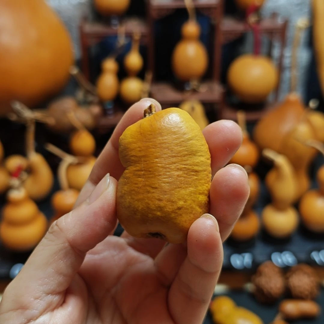 穗***岁直播间链接葫芦葫芦
