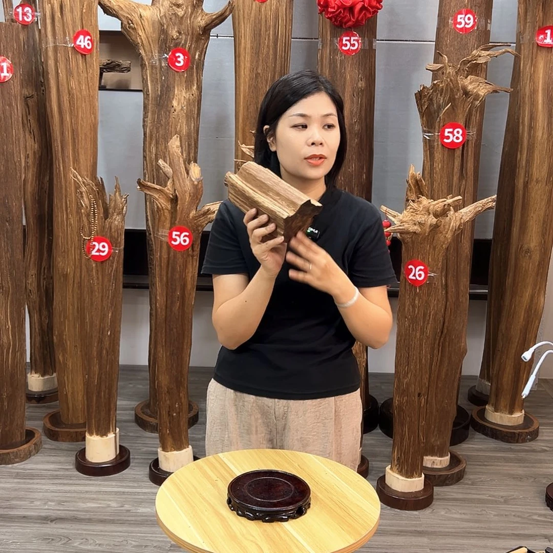 沉香碎屑沉香沉香