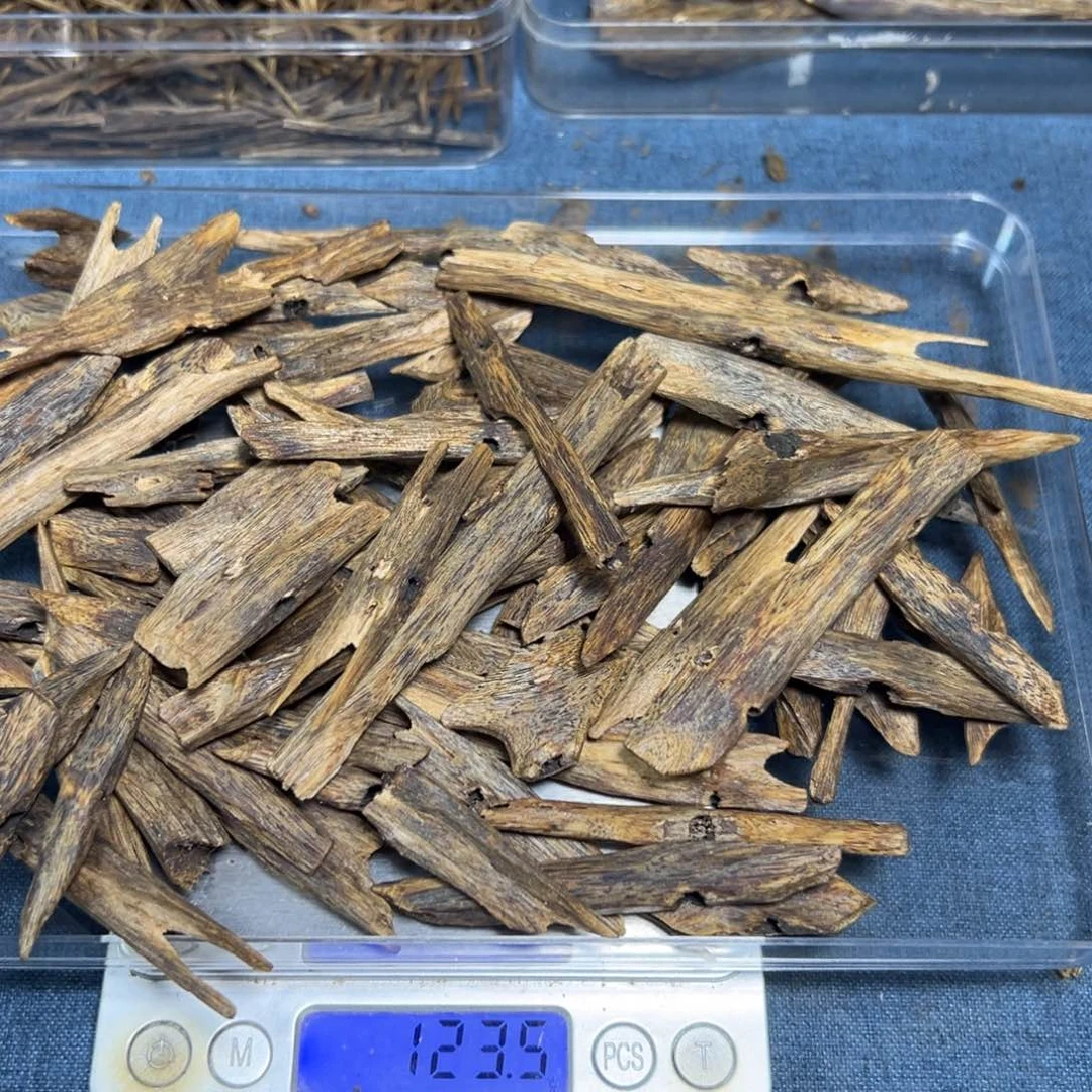 沉香碎屑沉香汝湖料块料123克