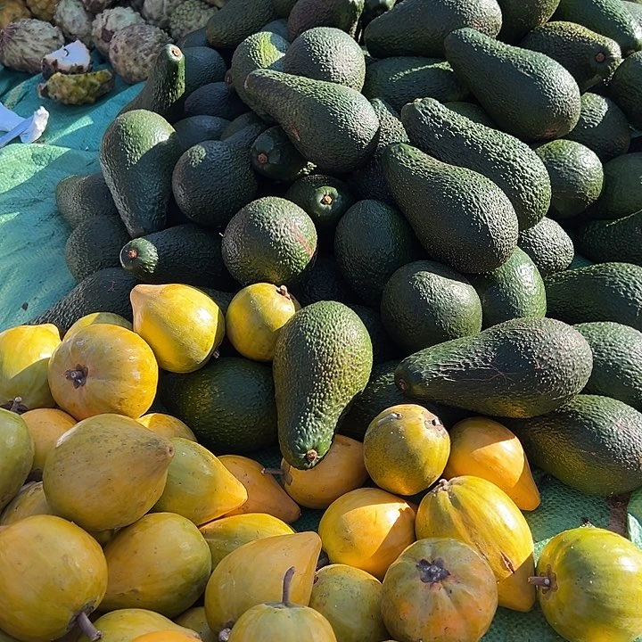 中国大陆鸡蛋果2斤牛油果3斤