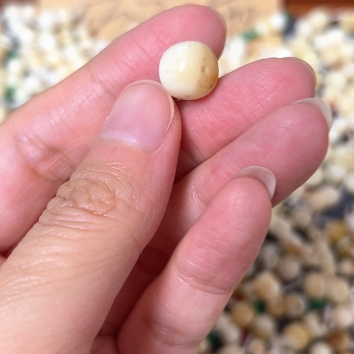 裸石蜜蜡未镶嵌9.9mm一个