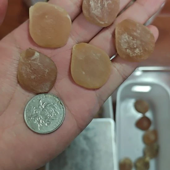 青鱼石原料全品3-4克5个